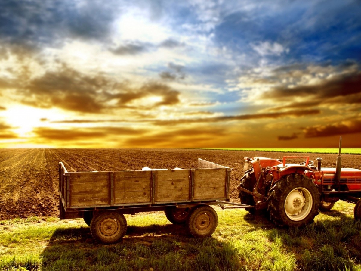 AGRIBOND 2 – Puoi accrescere la competitività della tua impresa agricola